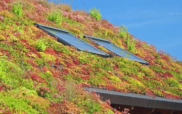 Haighton Top living roof systems