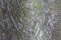 Haighton Top fibreglass roof work